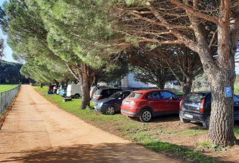 فندق Habitación Familiar Oasis Anayansi