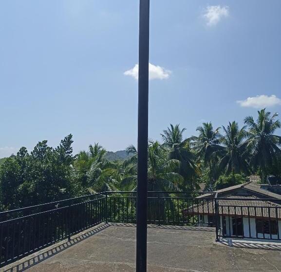 膳宿费 D Studio Villa