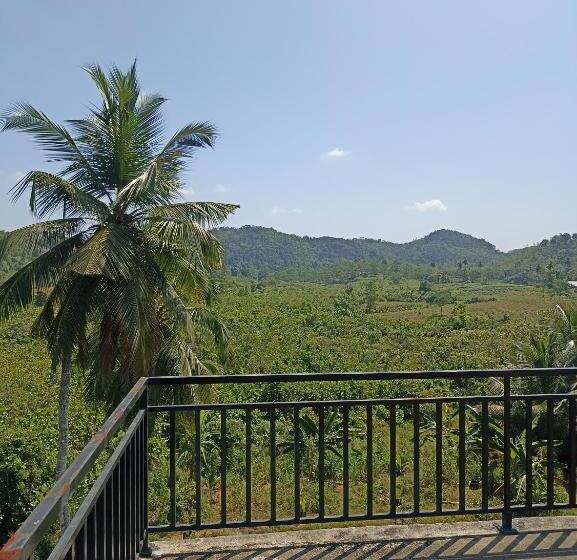 膳宿费 D Studio Villa