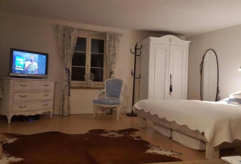 Airport Zürich Elwiras B & B