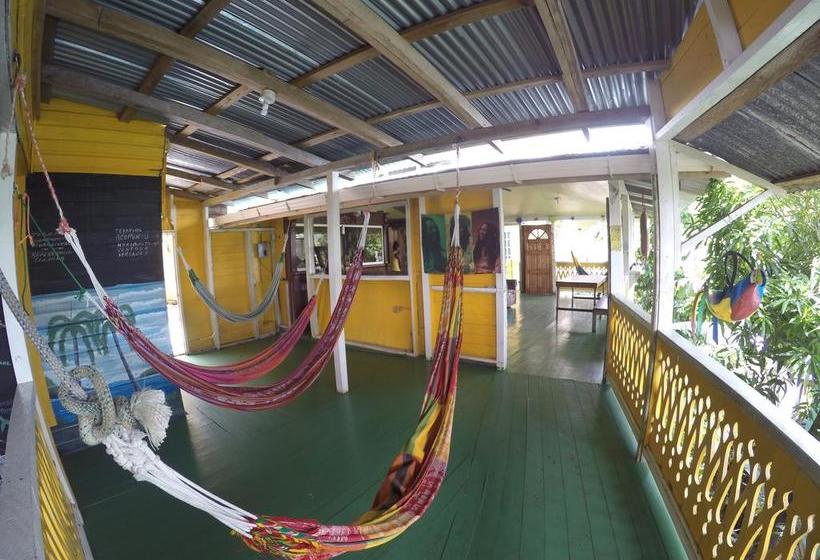 فندق صغير Hostal Bastimentos