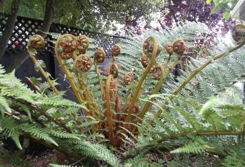 تختخواب و صبحانه Berni S Boutique Bnb