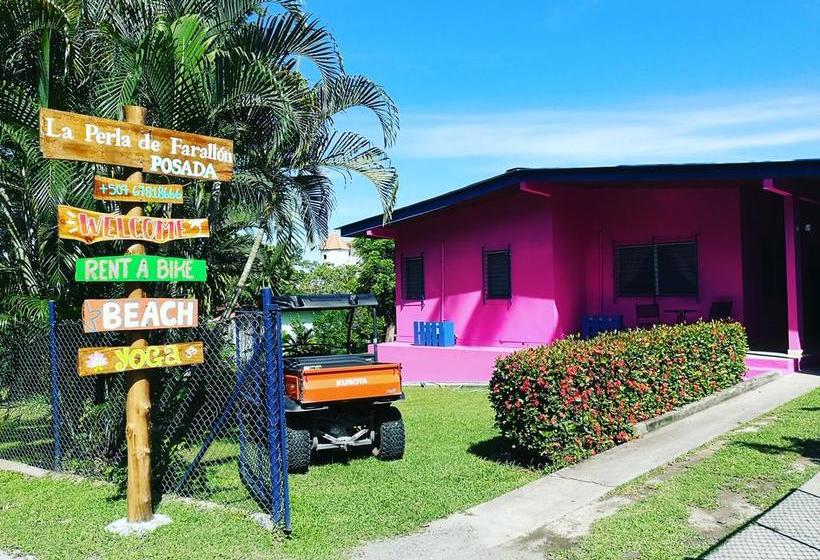 Bed and Breakfast La Perla De Farallon