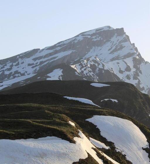 ホテル Pension Laresch