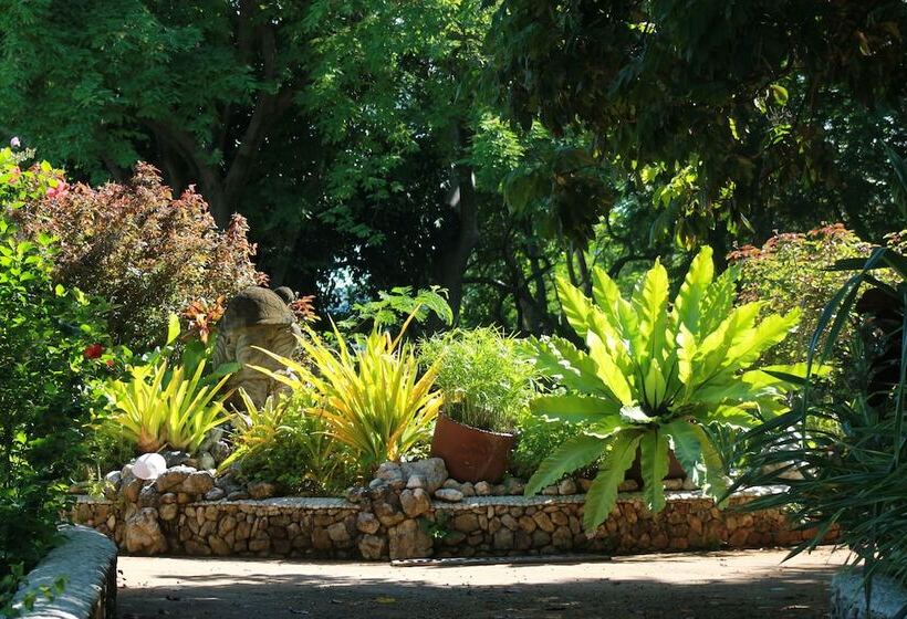 אתר נופש Noanoa Island