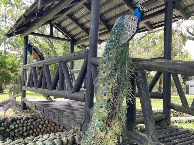 هتل Lake House Resort