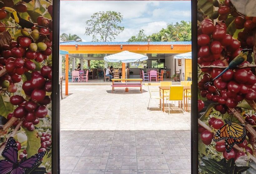 مبيت وإفطار De La Vega Hotel Campestre