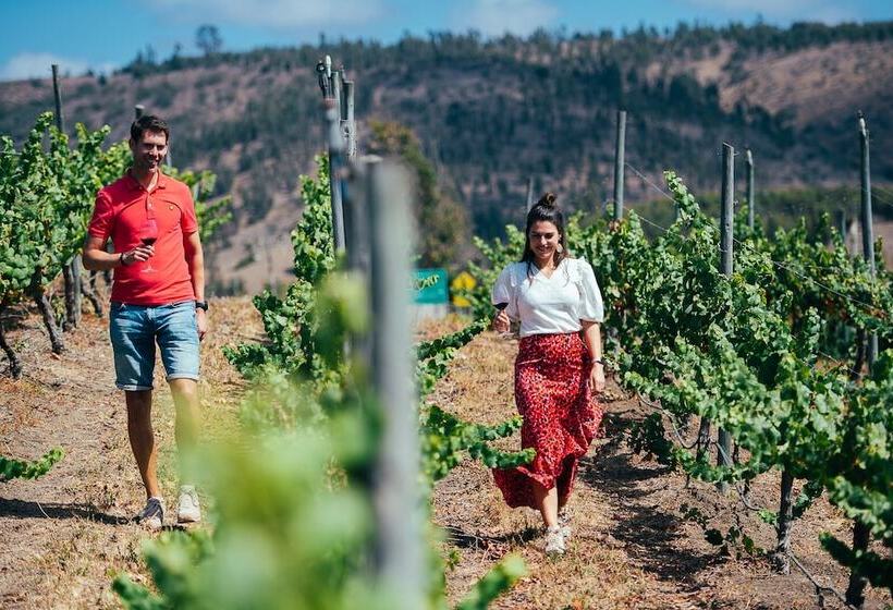 مبيت وإفطار Villa Miramar At Casa Marin Vineyards