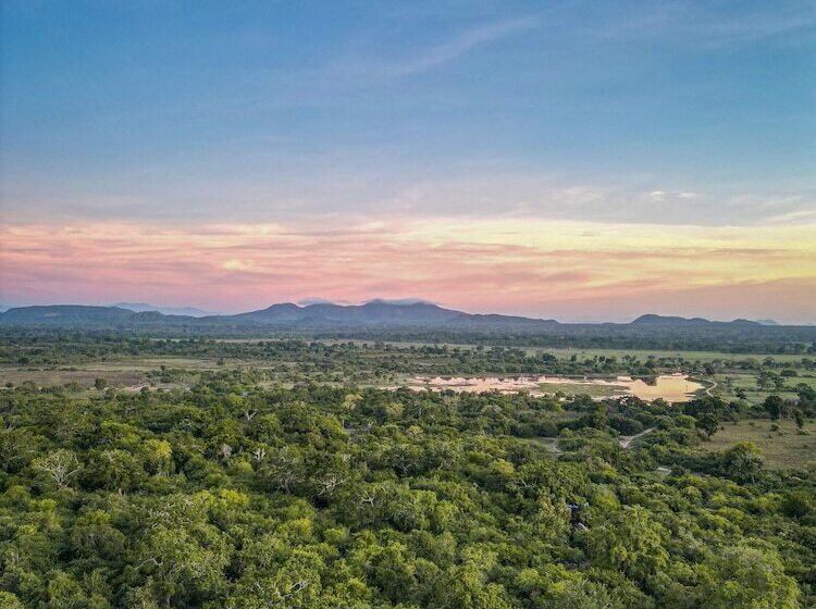 Отель Leopard Reach Yala By Seven Angels