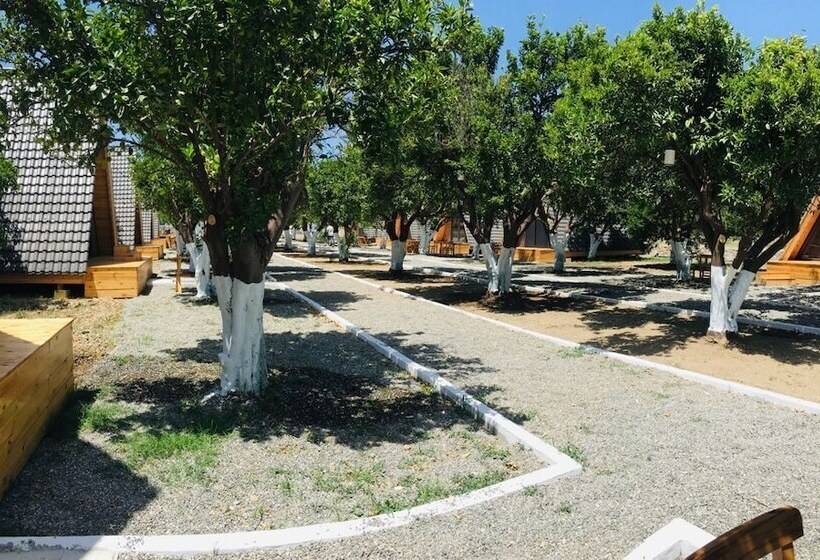 فندق Limon Datca