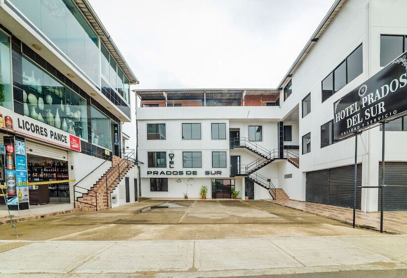 هتل Prados Del Sur