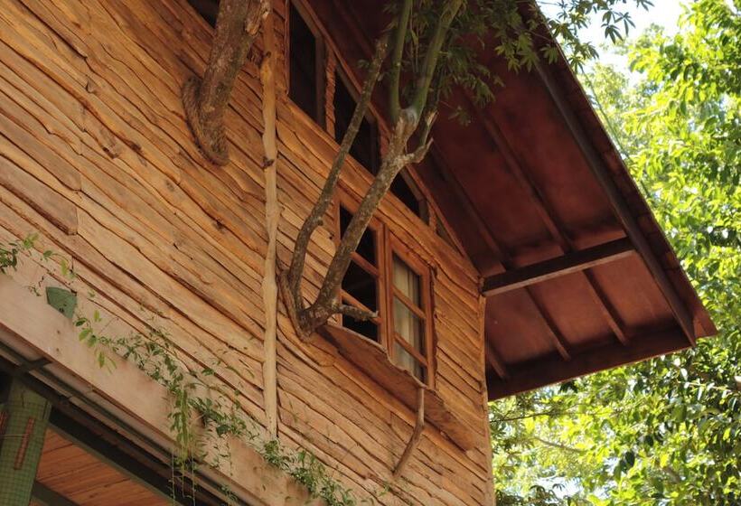 ホテル Roots Tree House
