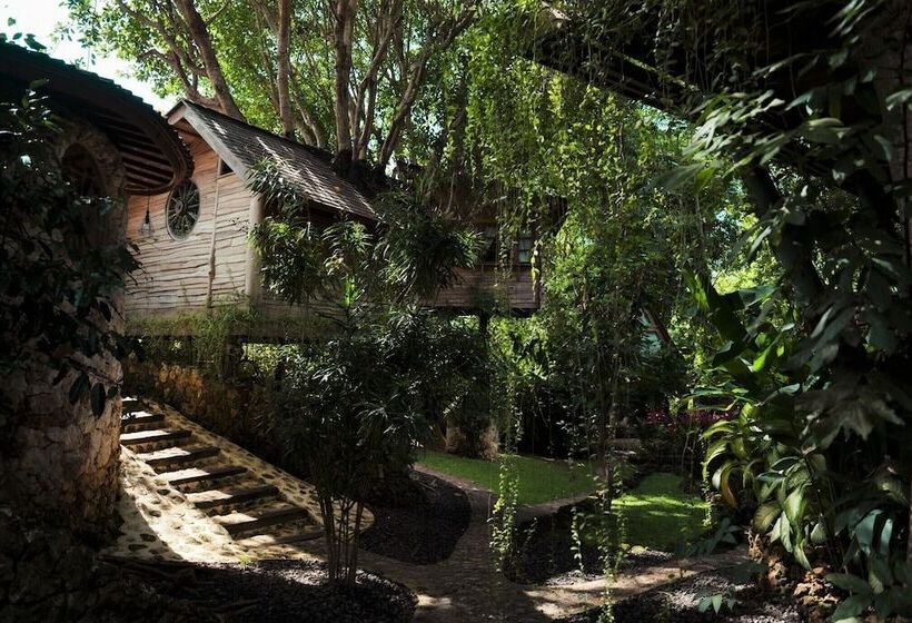 ホテル Roots Tree House