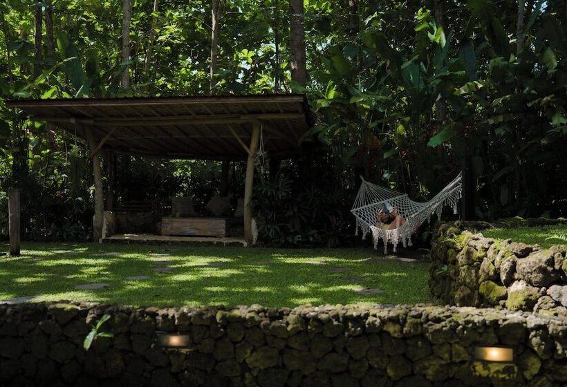 ホテル Roots Tree House