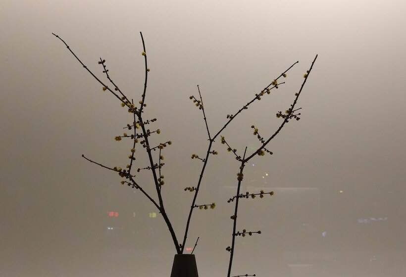 Otel The Hidden House Chengdu Taiguli Branch