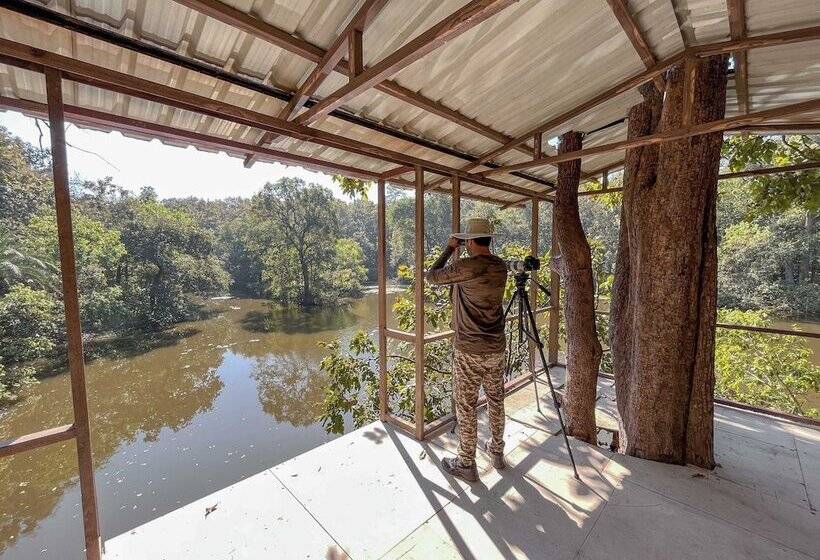 Курорт Rukhad Jungle Camp   Pench