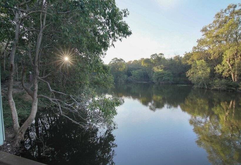 Курорт Rukhad Jungle Camp   Pench