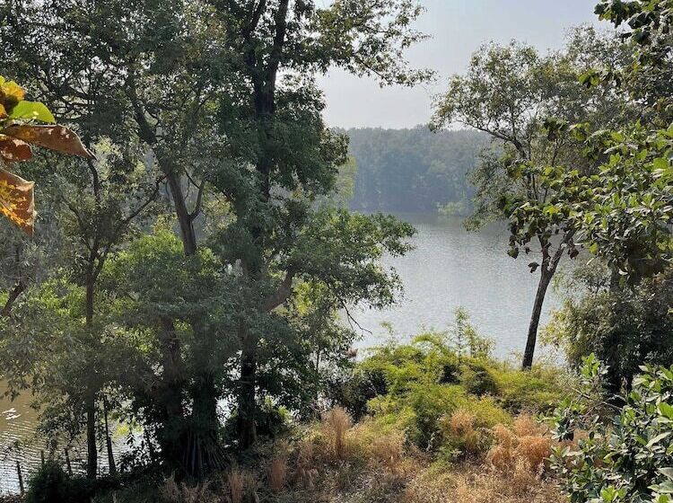 Курорт Rukhad Jungle Camp   Pench