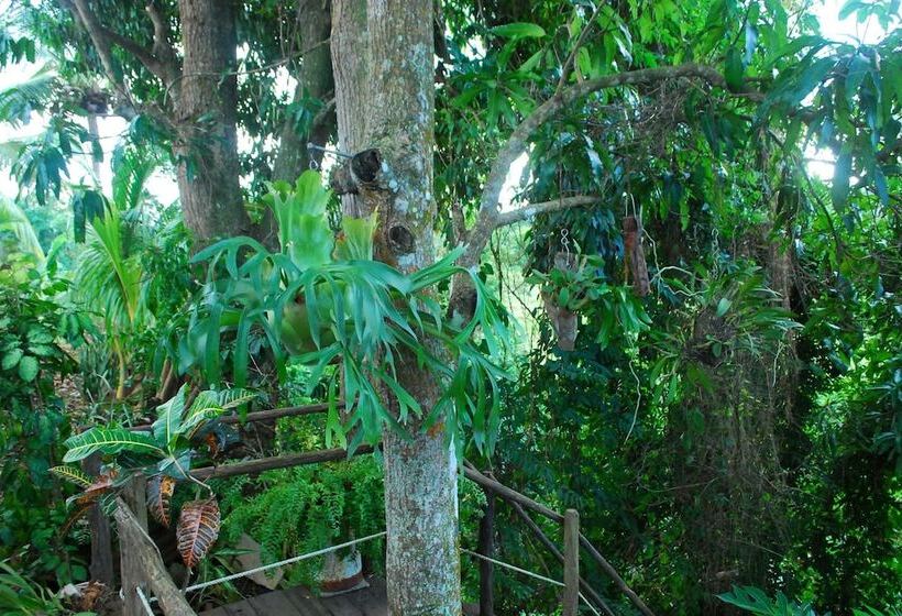 تختخواب و صبحانه Hostal Trujillo