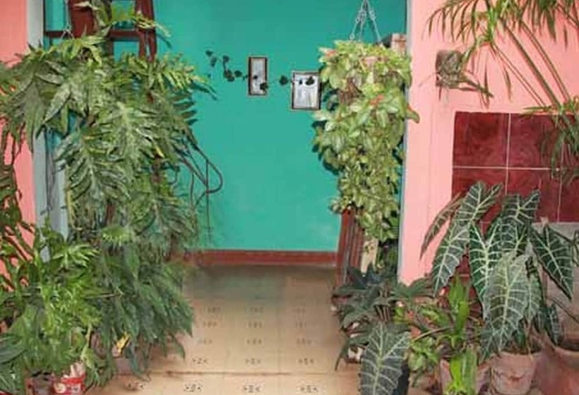 Hostal Rigo