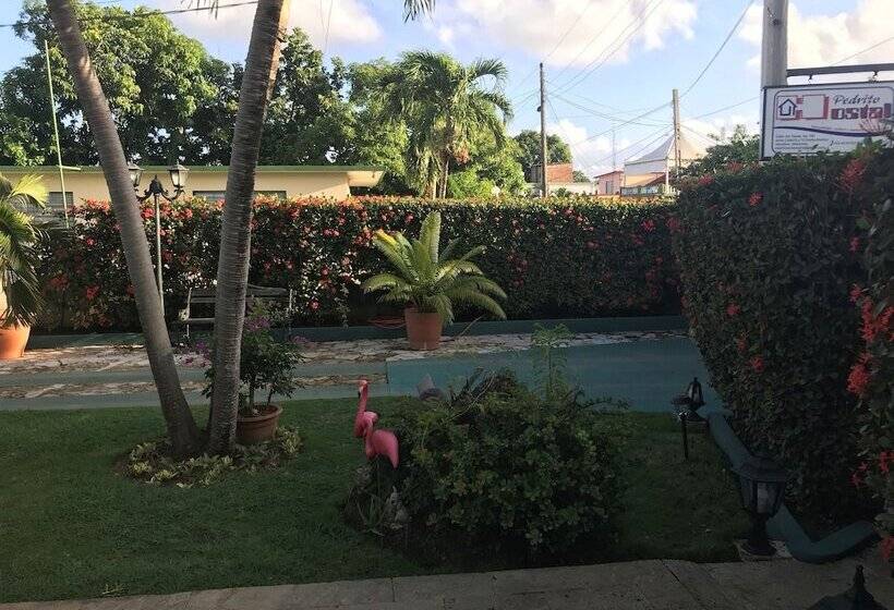 Casa Pedrito Hostal