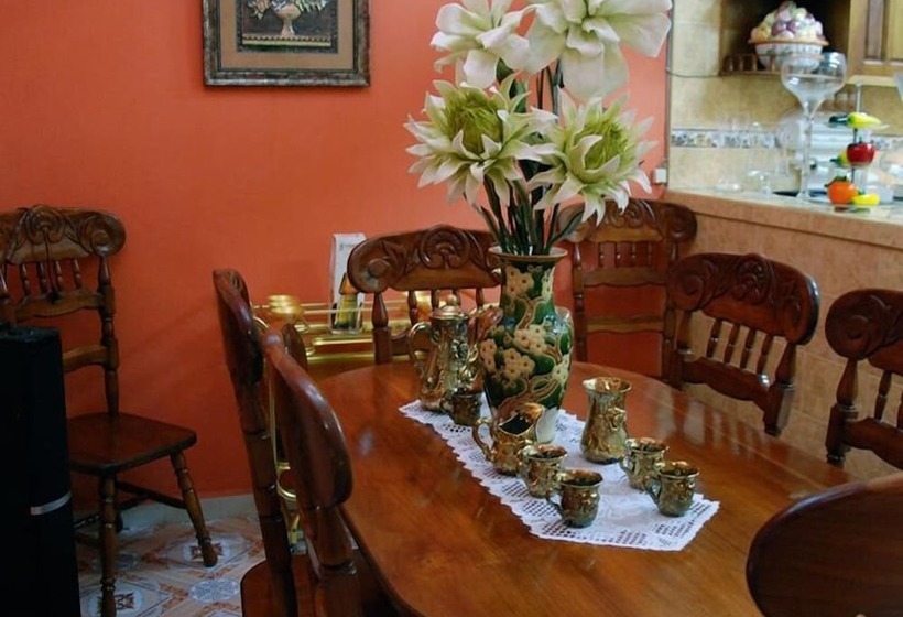 پانسیون Hostal Los Vitrales