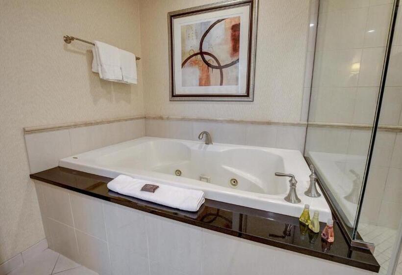 The Fantasy Suite Mgm Signature Pool View