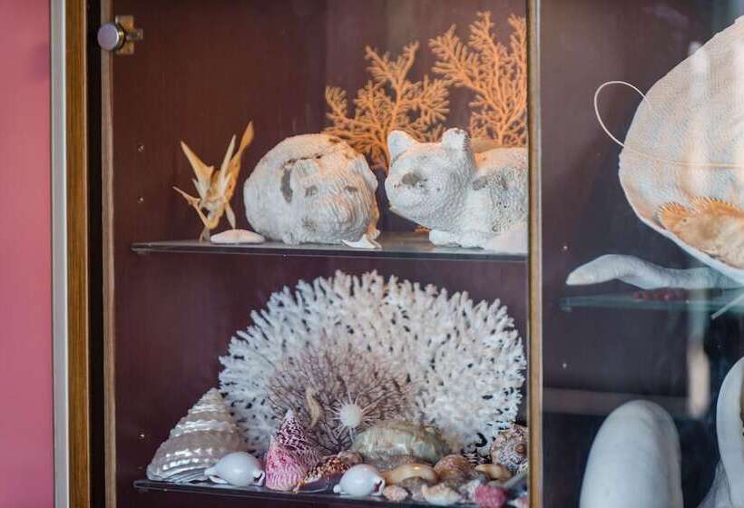 Sea Month Bed And Breakfast