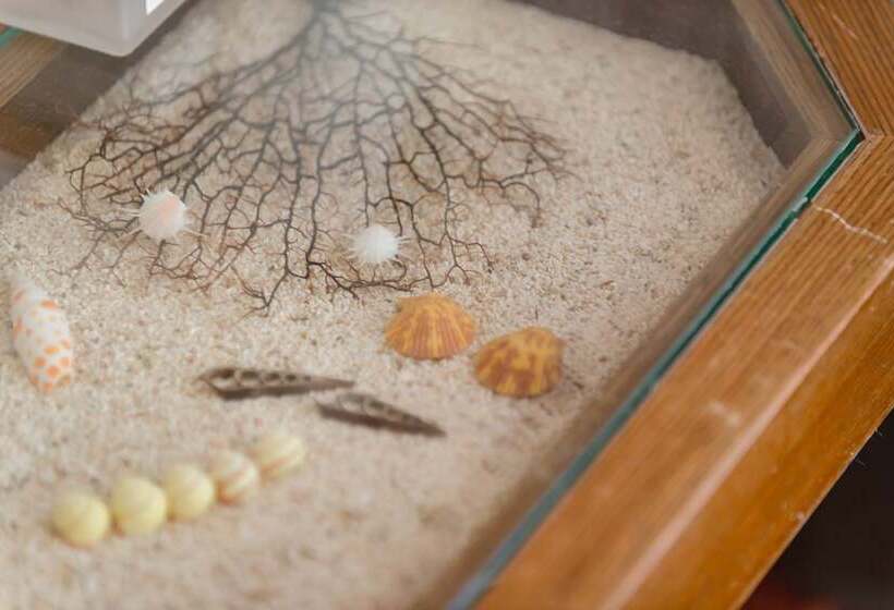 Sea Month Bed And Breakfast