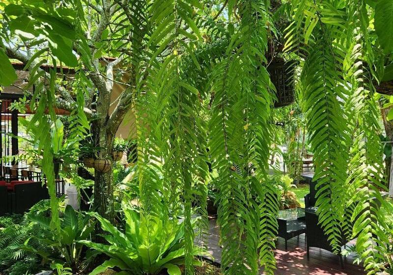 فندق Baan Nern Khao Resort Pattaya