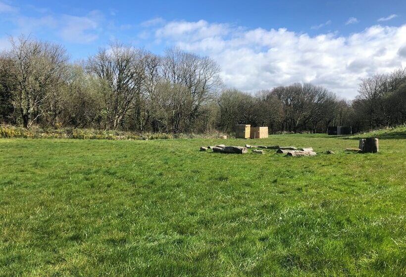 Elm   Bell Tent, Anglesey, North Wales