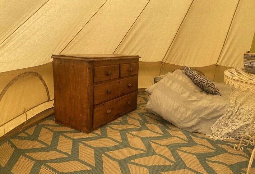 Elm   Bell Tent, Anglesey, North Wales