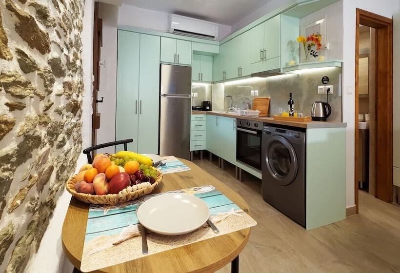 פנסיון Myrsini S Studios In Chorto Pelion