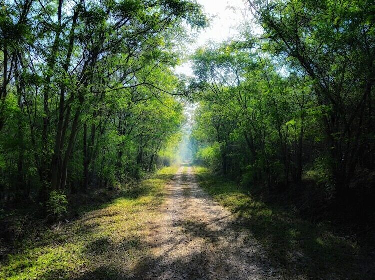 Devigiri Home Stay And Resort