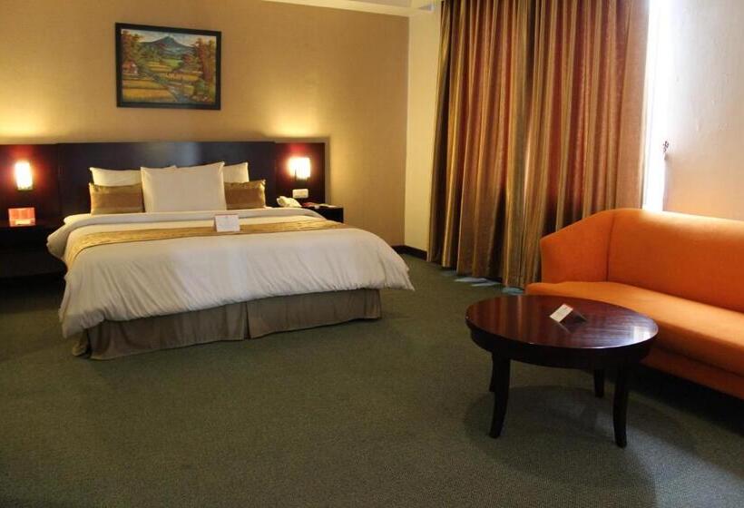 هتل Asialink Premier