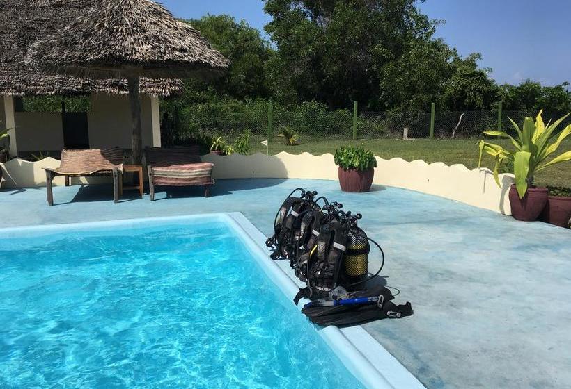 مبيت وإفطار Butiama Bustani