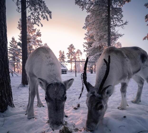 منتجع Aurora Village Ivalo