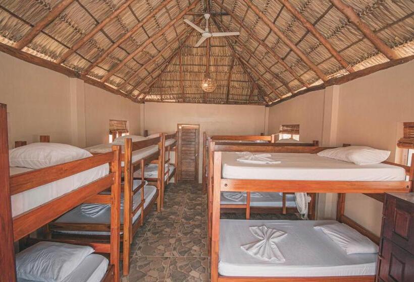 The Barrel Hostel
