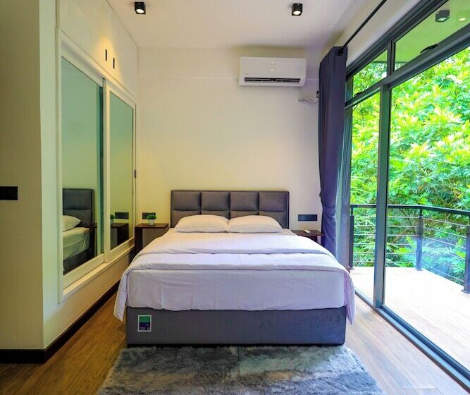 פנסיון Forest Face Lodge