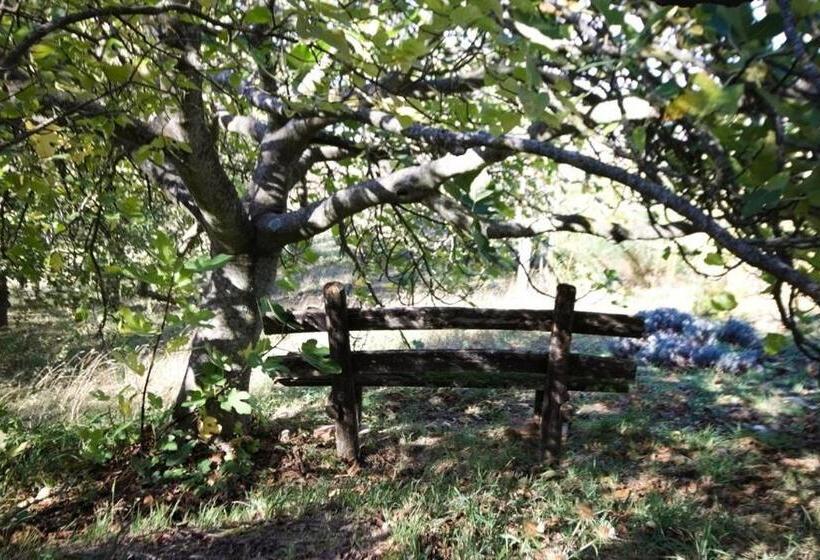 住宿加早餐  Stanza Nel Bosco Alla Canova Di Biforco