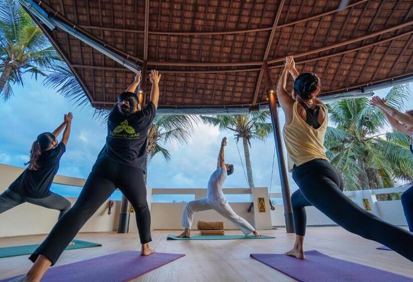 Bed and Breakfast The Bodhi Leaf Wellness Resort