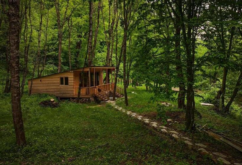 אתר נופש Homeland Motkor