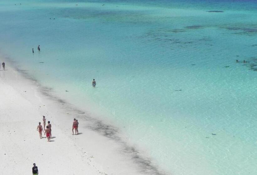 ホテル Langi Langi Beach Bungalows