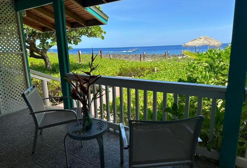 هتل Seagrape Plantation Resort & Dive Center