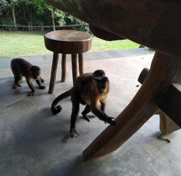 ユースホステル Pousada E Camping Claro Casa De Pedra De Delfinópolis  Mg