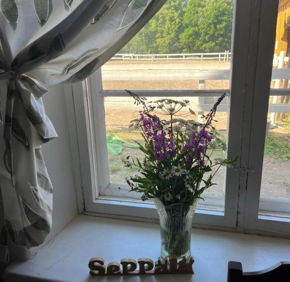 هتل Seppälän Tallin Leiritilat