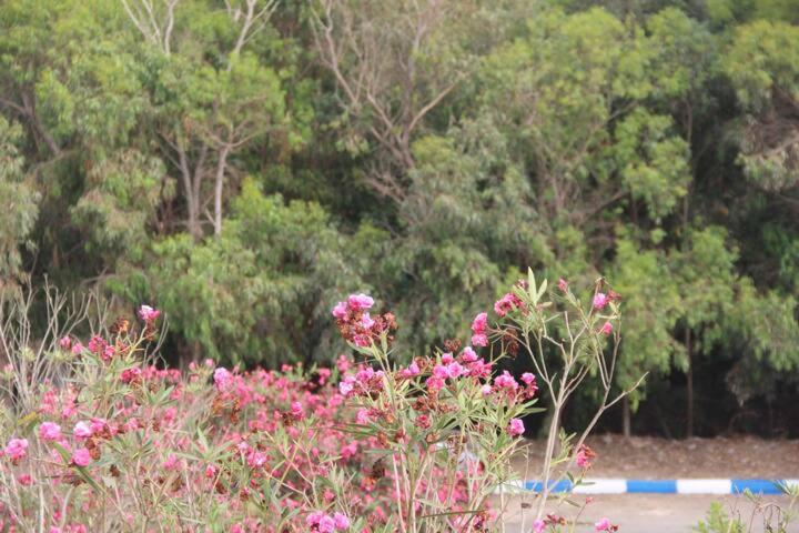 تختخواب و صبحانه Maison D Hôte Sur La Plage De Bouznika