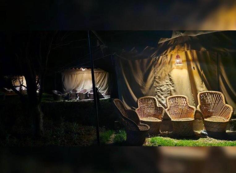 فندق In The Jungle Camps