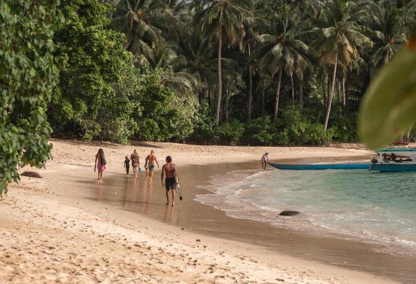 تختخواب و صبحانه Carve Bay Mentawai