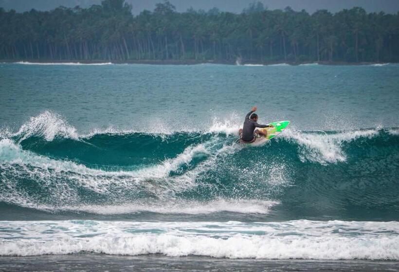 تختخواب و صبحانه Carve Bay Mentawai